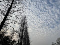 -前小桔亲子创意农场·草莓采摘·露营烧烤