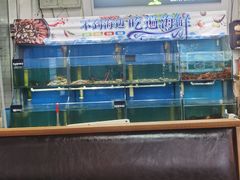 -东极岛海鲜