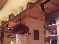 -泥糊破店小酒馆·团建聚餐(南京西路店)