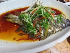 老虎斑-众味海鲜大排档·活海鲜·潮汕味(南澳店)