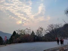 -北京西山国家森林公园