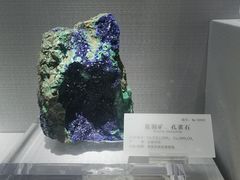 -湖南省地质博物馆