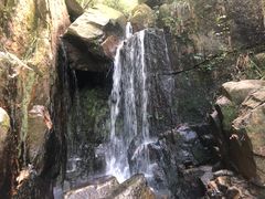 -田心森林公园