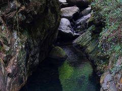 -大奇山国家森林公园