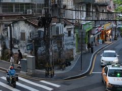 -溪岸路花鸟市场