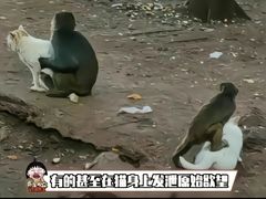 -昆明动物园