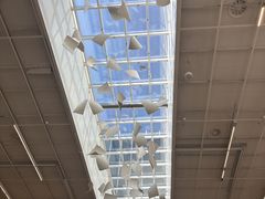 -朵云书院(滴水湖店)