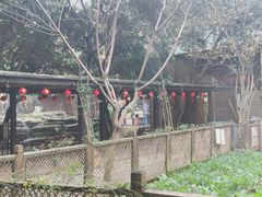 -天怡·鱼工厂(梅溪湖店)