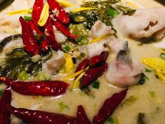 大树酸菜鱼-大树餐厅(红旗街万达店)