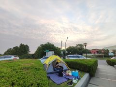 -南汇嘴观海公园