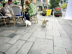 -Peet's Coffee皮爷咖啡(大学路店)