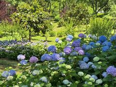 -金银湖国家城市湿地公园