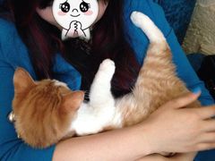 -Sirena海妖日咖夜酒