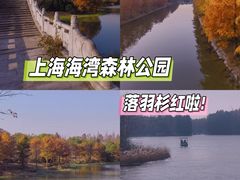 -上海海湾国家森林公园