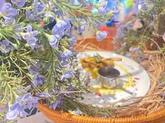 -LE SHARE洛笙·花园西餐(北京路步行街店)