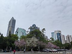 -天河体育中心
