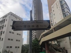 -香港大学