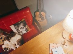 -咖法森林·咖啡  酒吧(天河店)