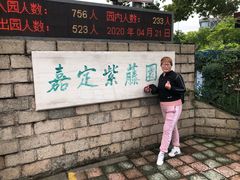 -嘉定紫藤园