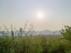 -金海湾滨江公园