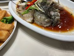 清蒸鲟鱼-百鱼庄(仙葫店)