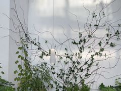 -大树餐厅(红旗街万达店)