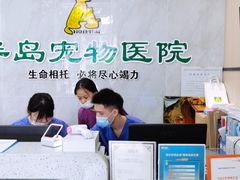 -半岛宠物医院24小时(科华中路店)