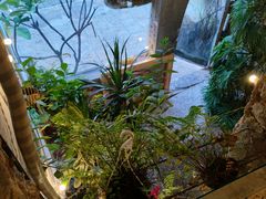 -野草莓自由市场