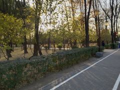-古塔公园