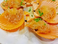 蒜蓉粉丝蒸扇贝-亚龙湾8号(丁村万人海鲜广场店)