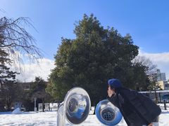 -金泽21世纪美术馆