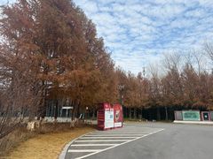 -黄海国家森林公园