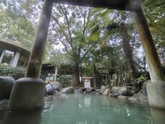 -张家港金凤凰度假村温泉