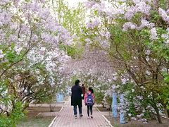 -世纪金星幼儿园(三辅二道街)