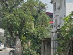 -南山植物园