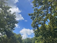 -上海市保健医疗中心