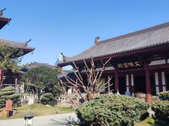 -南翔古镇