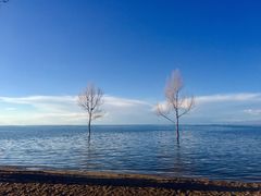 -青海湖国家重点风景名胜区
