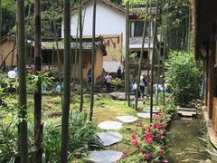 -芦沟竹海