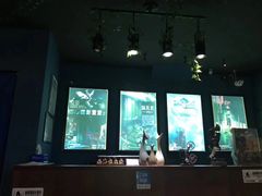 -S Team剧情密室(杭州龙翔桥店)