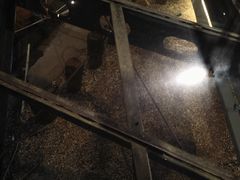 -元代水闸遗址博物馆