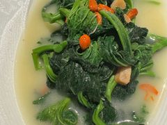 米汤冬寒菜-茅庐·川粤精品私房菜(金沙遗址店)