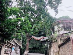 -北极阁公园