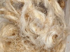 -郴州特产舜华临武鸭(郴州西站店)