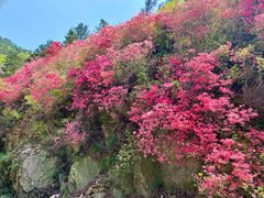 -木兰云雾山