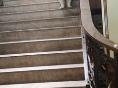 -more than meow吴止猫主题餐厅(承德 中船汇店)