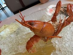 -红盔甲·小龙虾(天钥桥店)