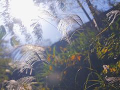 -影珠山