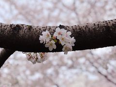 -上海体育场(地铁站)
