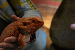 -酷嗒动物文化乐园(cutezoo西溪乐天城店)